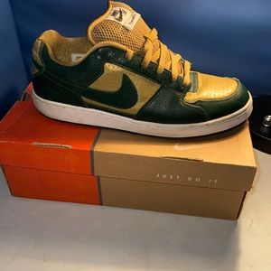 Nike sb dunk team editions